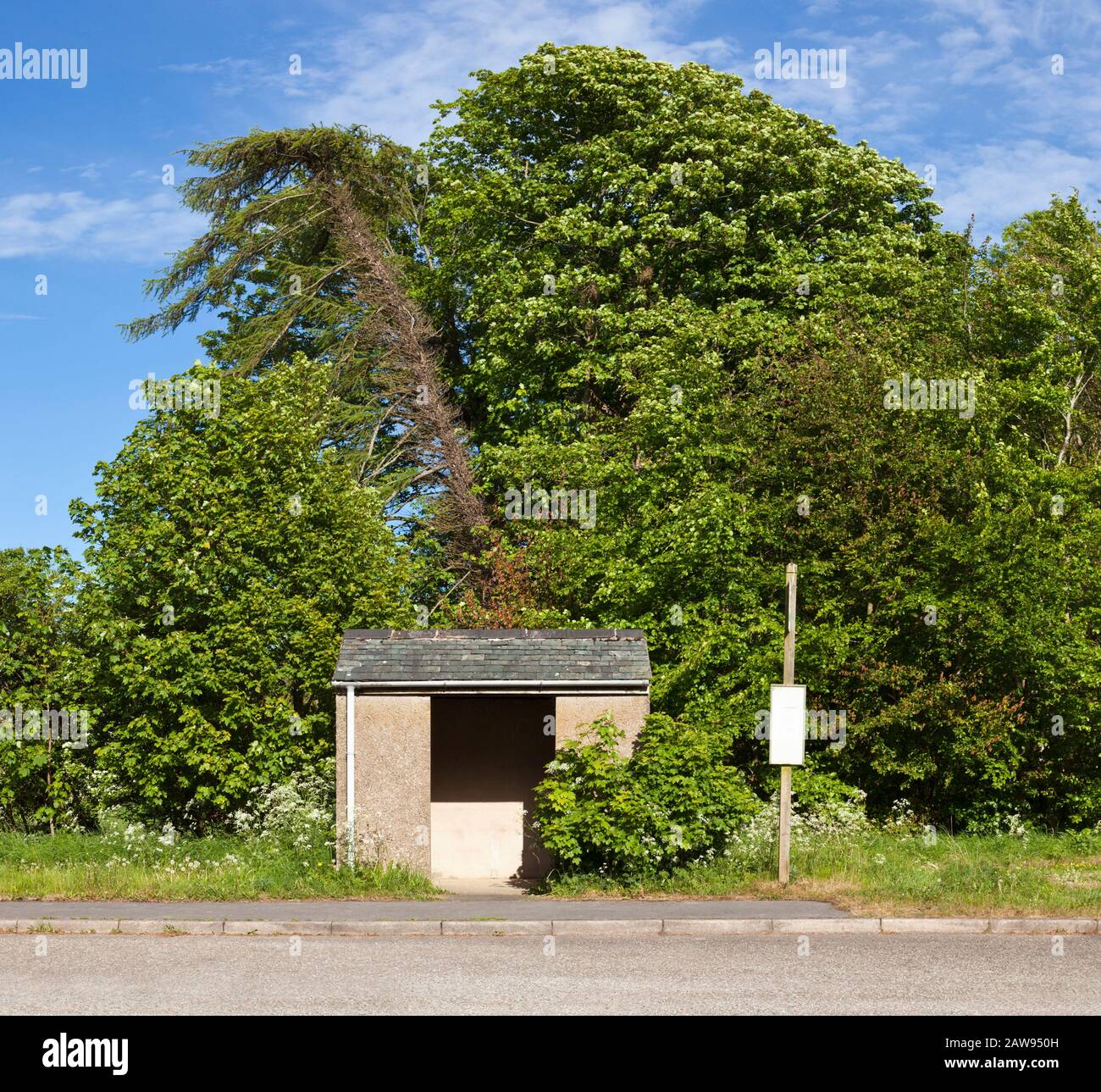Ländliche Bushaltestelle. Bushaltestelle und Bushaltestelle mit leerem Schild auf dem Land, England UK Stockfoto