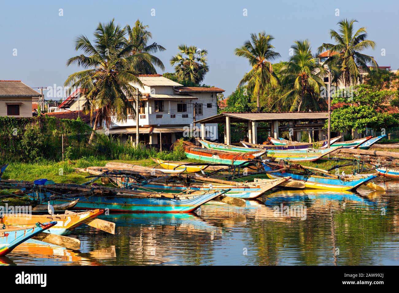 Bunte Fischerboote in Negombo, Sri Lanka Stockfoto