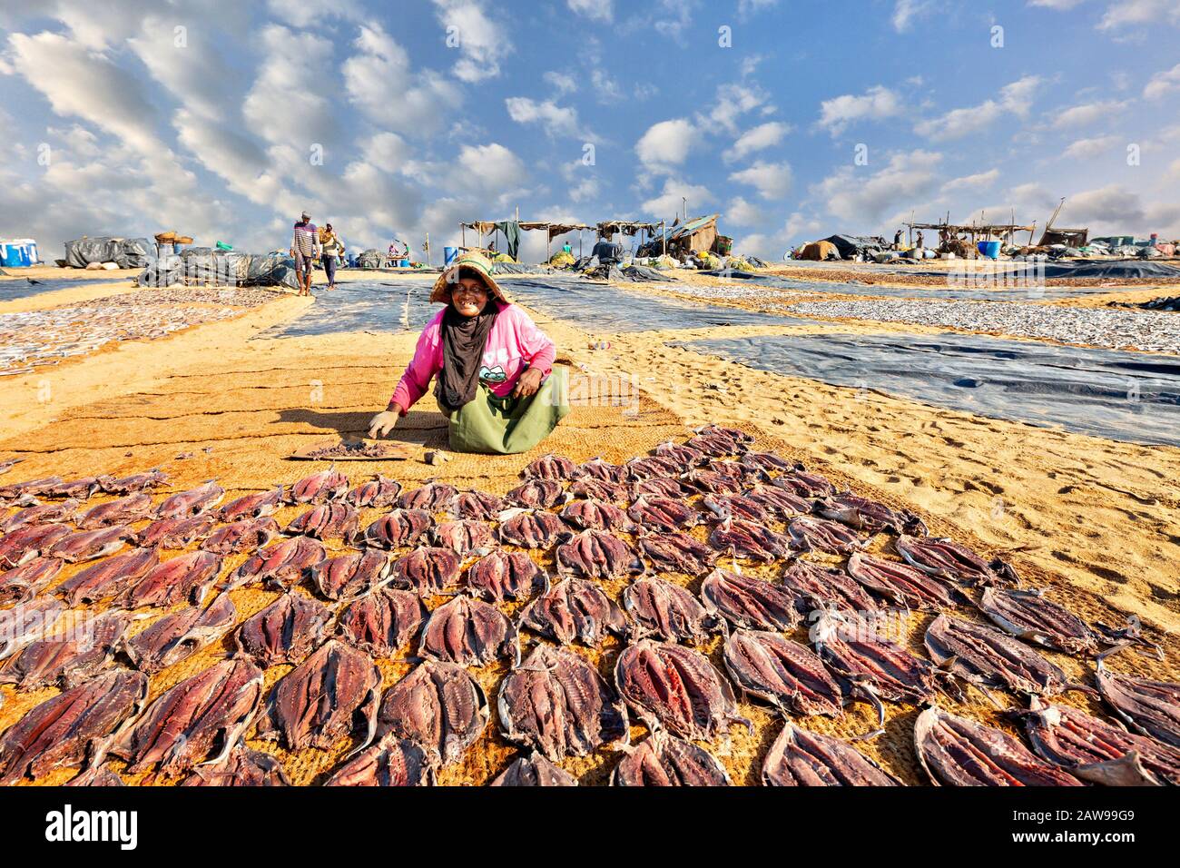 Einheimische Frau, die Fisch am Strand trocknet, in Negombo, Sri Lanka Stockfoto