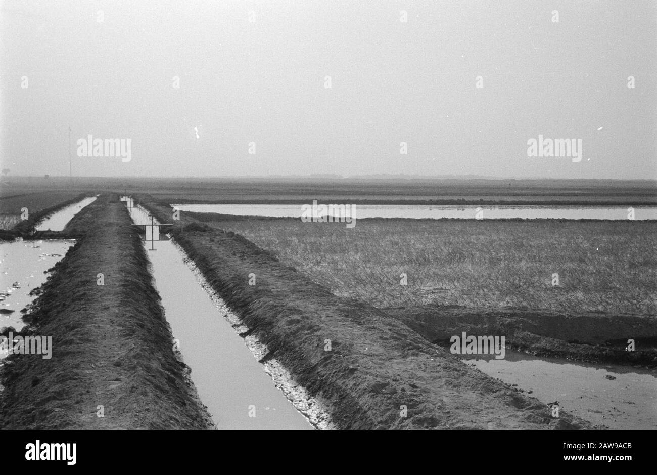 Landwirtschaft, Getreide, Schlösser Datum: Undatierte Stichwörter: Getreide, Landwirtschaft, Schlösser Stockfoto