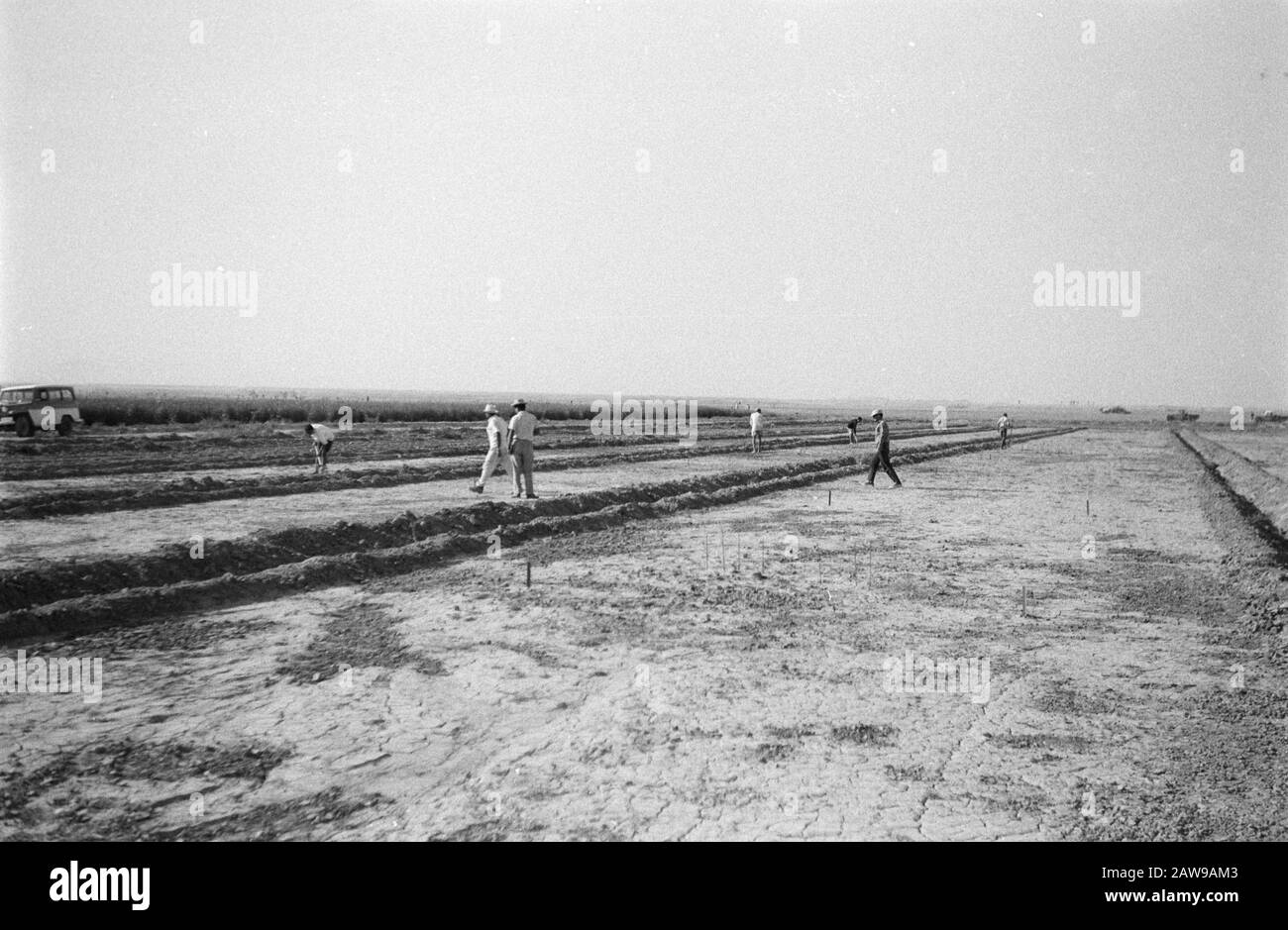 Land, Männer, Arbeit, Umrisse Datum: Undatierte Schlüsselwörter: Land, Männer, Karten, Geschäft Stockfoto