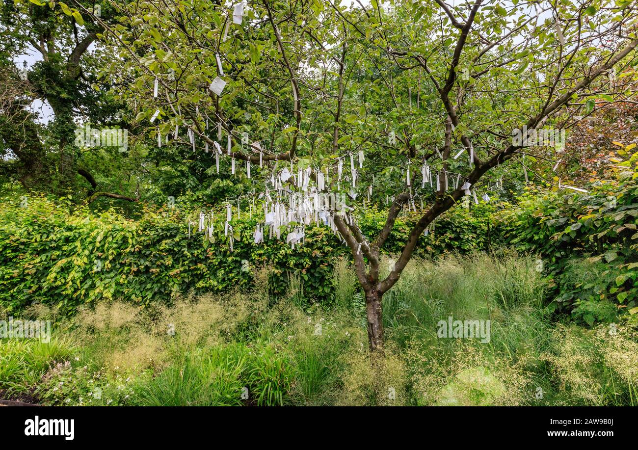 Frankreich, Loir et Cher, Loire-Tal, das von der UNESCO zum Weltkulturerbe ernannt wurde, Chaumont sur Loire-Gebiet, Domäne von Chaumont sur Loire-Tal, Internationales Gartenfestival Stockfoto