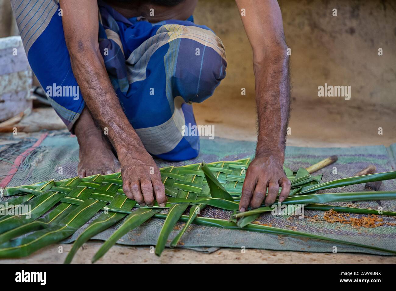 Geweben von Palmblättern, um zu stropfen, Sri Lanka Stockfoto