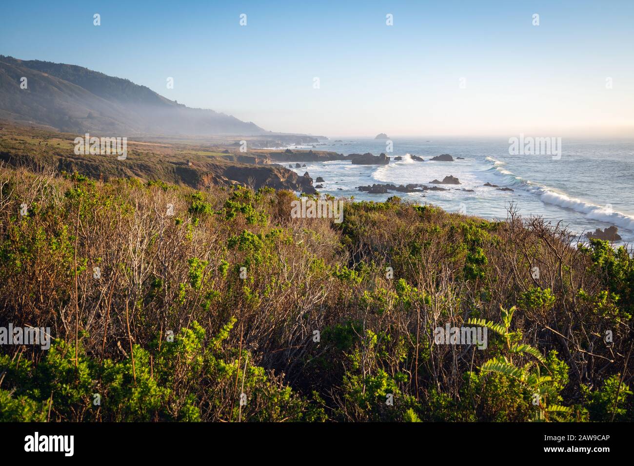 Pacific Valley im Los Padres National Forest. Monterey County, Pacific Coast, Kalifornien Stockfoto