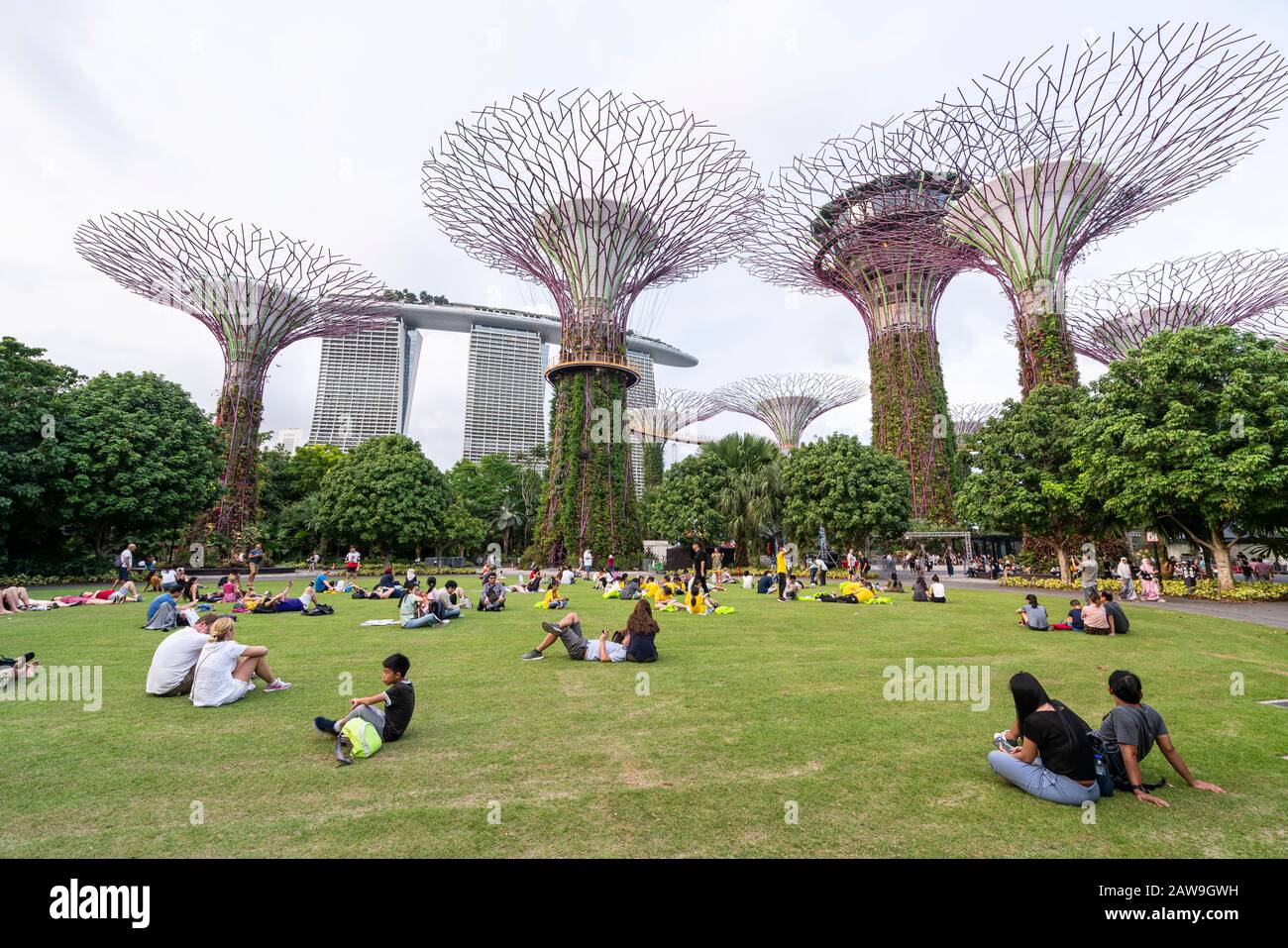 Singapur. Januar 2020. Menschen, die im Park in Supertree Grove sitzen Stockfoto