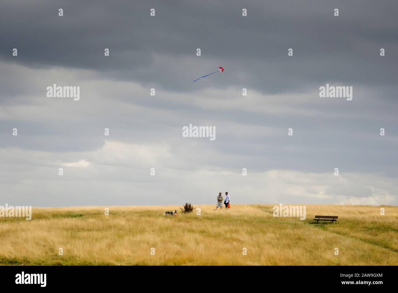 Schöne Landschaft von Menschen, die in einem Park spazieren gehen. Hampstead Heath, London. Stockfoto