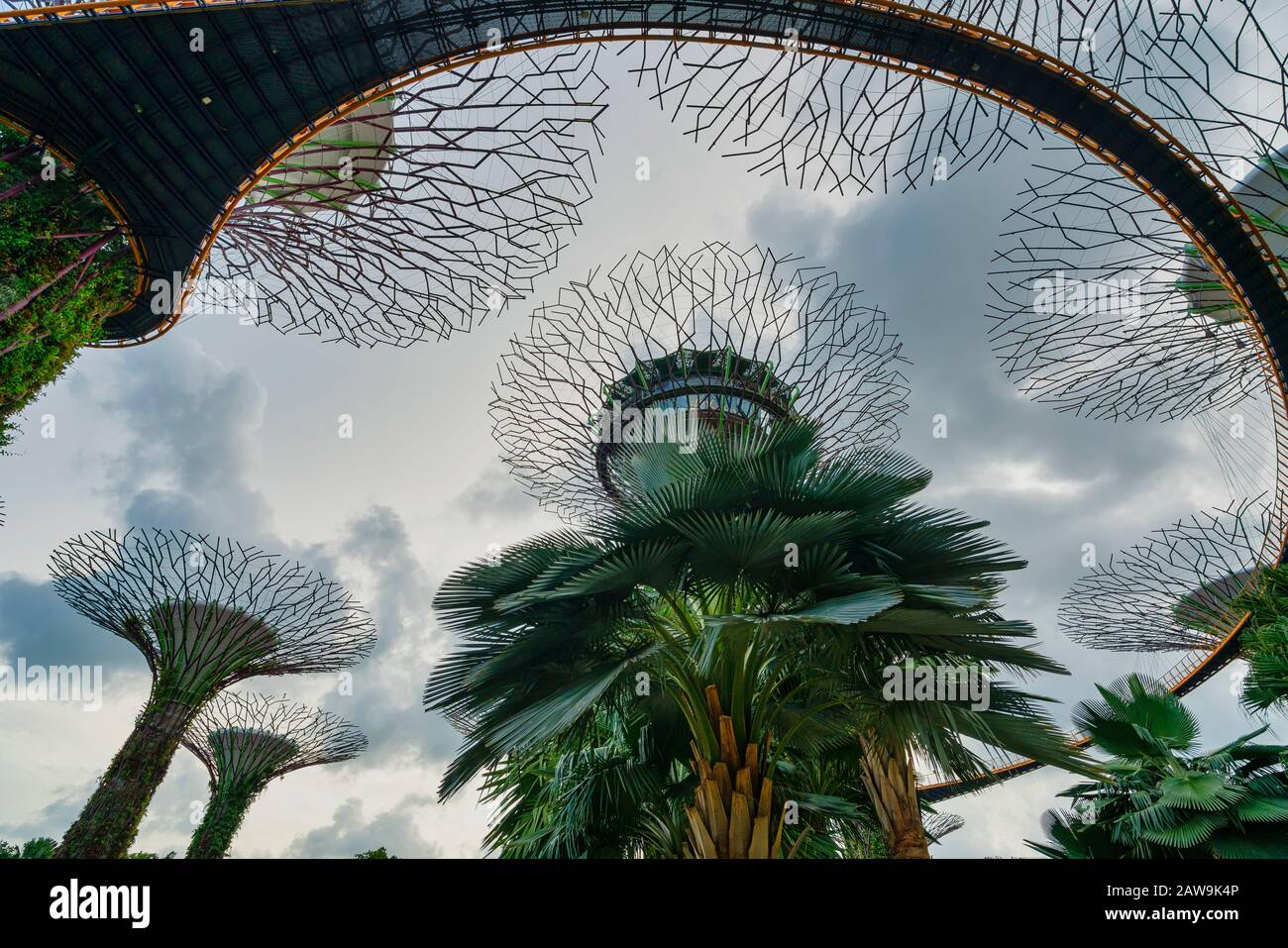 Singapur. Januar 2020. Ein Panoramablick von oben auf den Supertree Grove Park Stockfoto