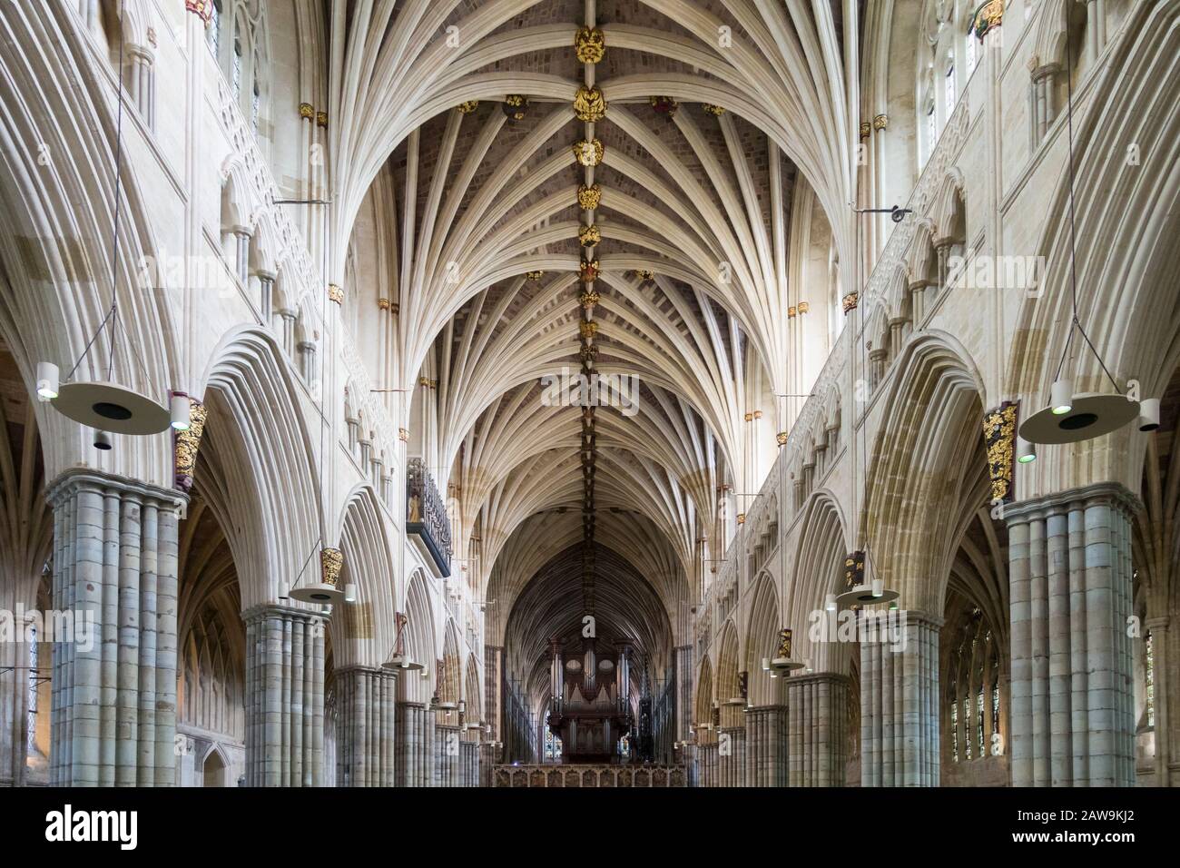 Innenbereich, das Mittelschiff der Kathedrale von Exeter mit Vaultierung der 1300er Jahre. Stockfoto