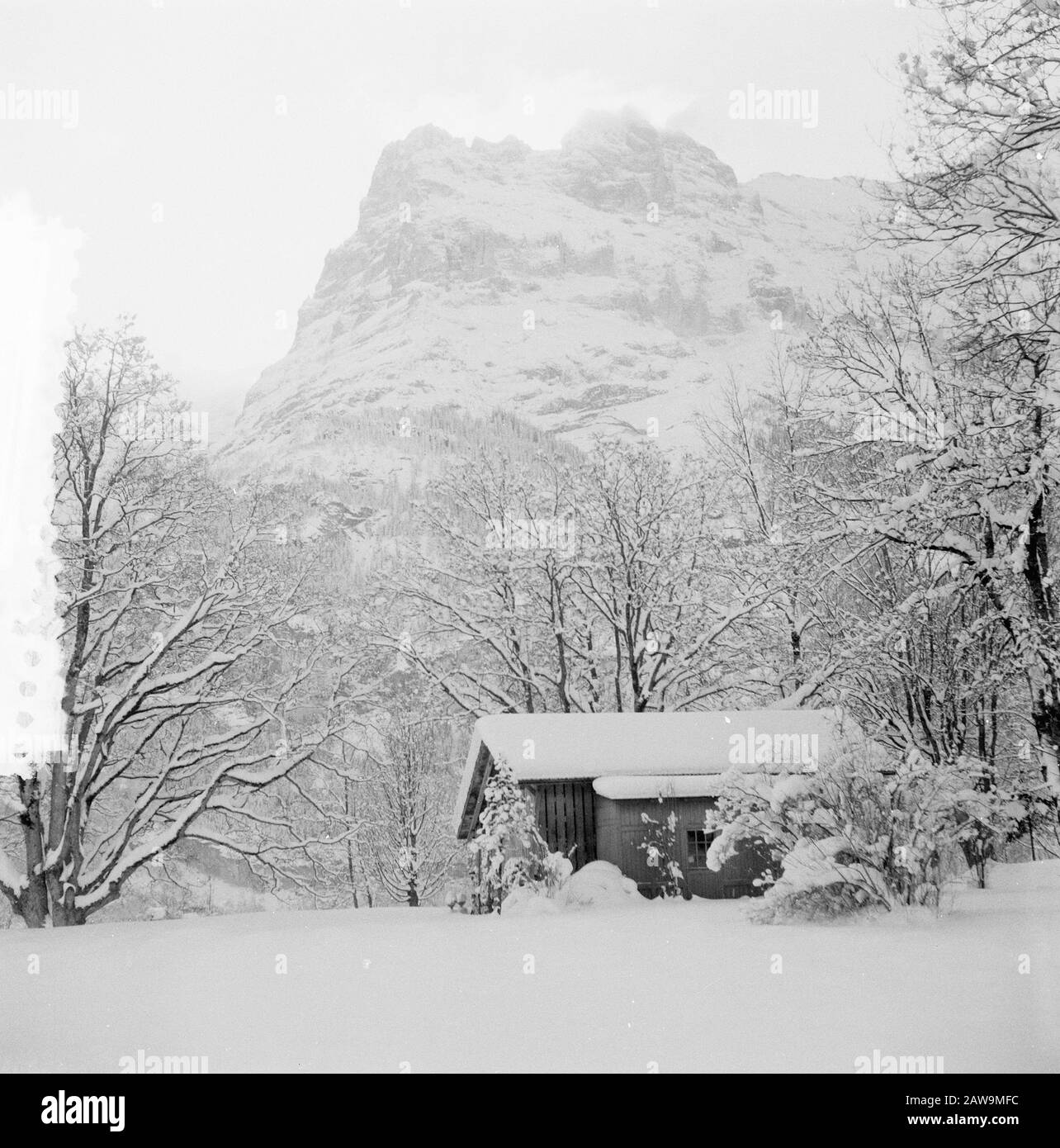 Königsbesuch in Grindelwald, Bilder von Grindelwald Datum: 31. Dezember 1953 Standort: Grindelwald Schlüsselwörter: Landschaften Stockfoto