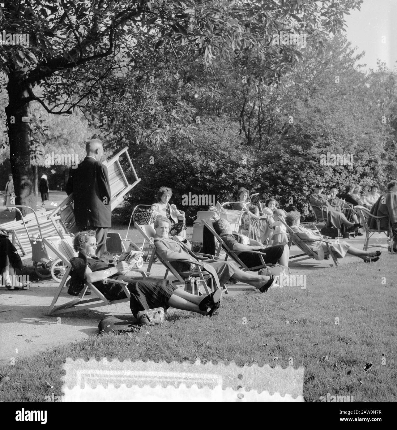 Spätsommerbilder, Pilzpicking im Vondelpark Datum: 12. Oktober 1955 Standort: Amsterdam, Noord-Holland, Vondelpark Stockfoto