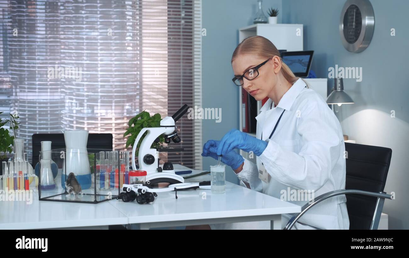 Wissenschaftlerin, die im Chemielabor mit organischen Materialien experimentiert, indem sie mit Pipette Dünger auf die Pflanze fallen lässt Stockfoto