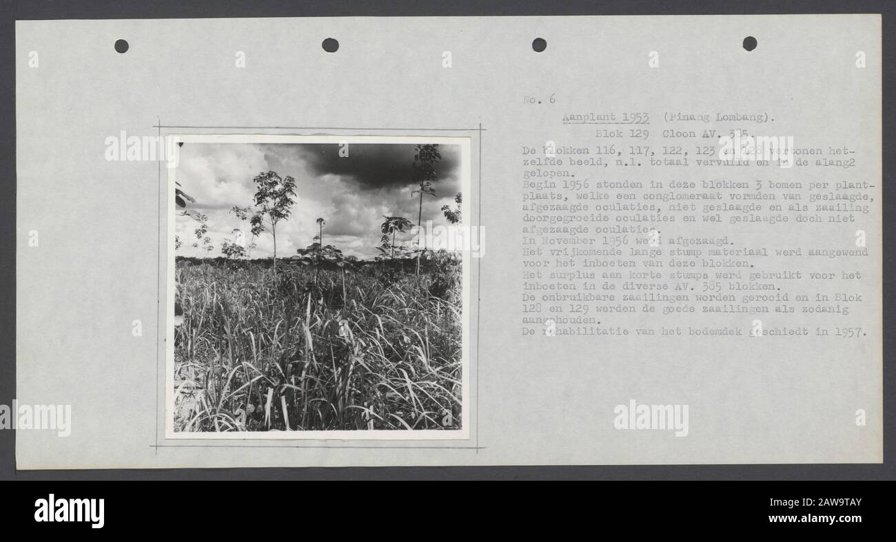 Fotoalbum Deli Company: Japan (19.) P15 Chuzenji Standort: Japan Stockfoto