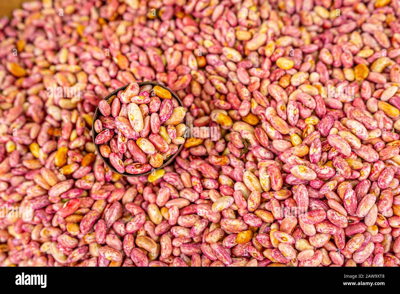 Rote Nierenbohnen in Zinn CAN, lokaler Markt Stockfoto