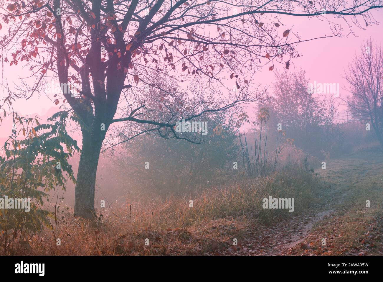 Am frühen Morgen auf dem Land. Ländliche Landschaft im Herbst. Landschaft mit Gelassenheit Stockfoto