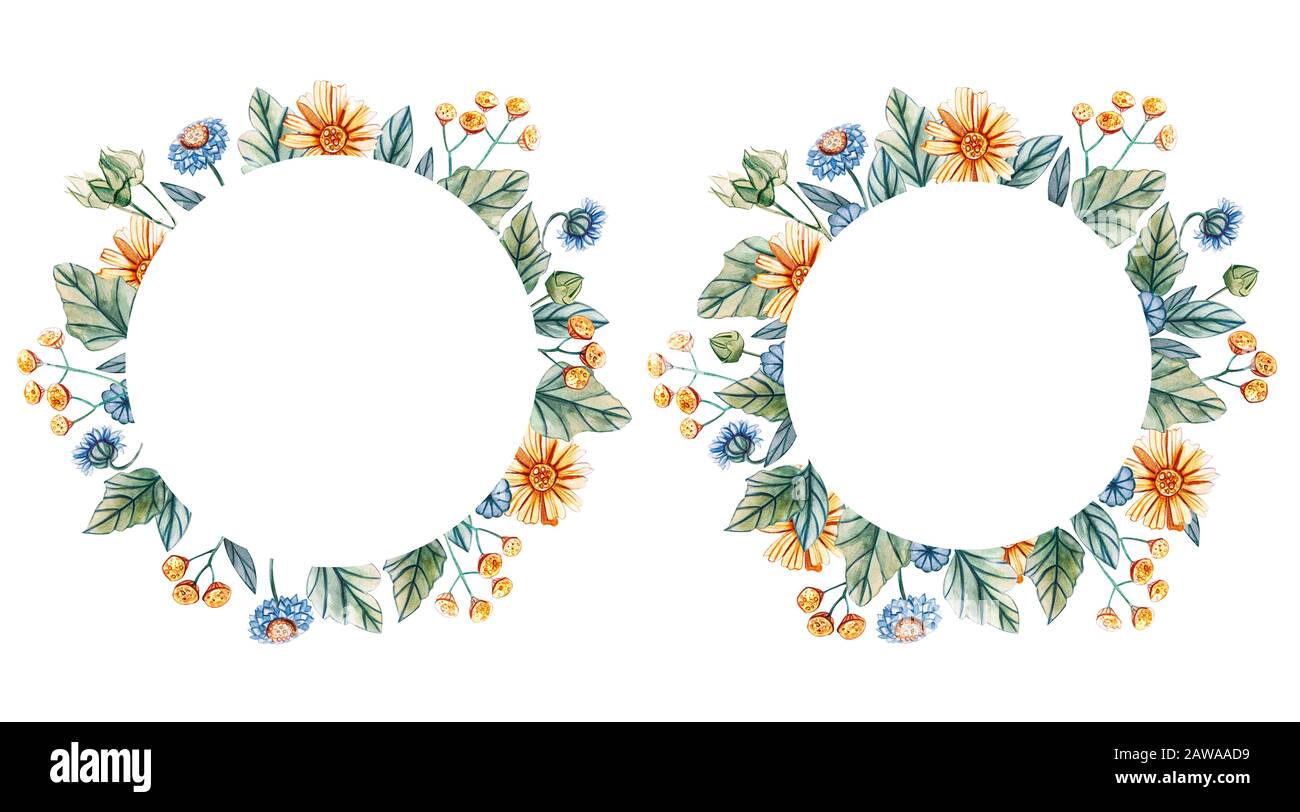 Blumen runden Rahmen von Aquarell Wildblumen. Es ist ein Platz für Text. Blumen auf einem weißen Hintergrund. Vorlage für Hochzeit Einladungen und Karten. Stockfoto
