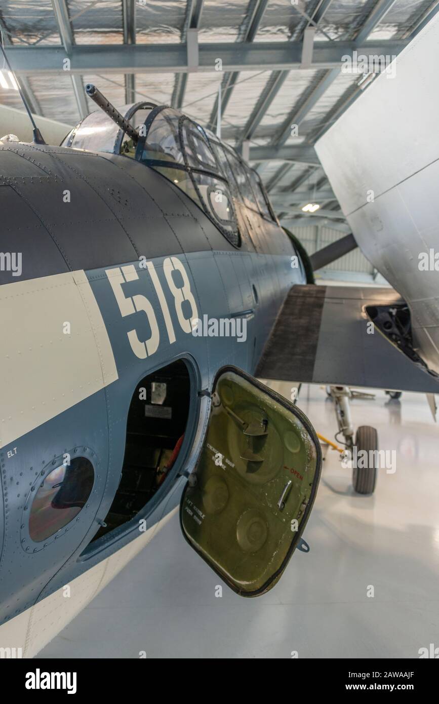 Ein Grumman TBM Avenger, Torpedobomber des zweiten Weltkriegs im Hangar mit gefalteten Flügeln, Ohakea, Neuseeland. Besitz und geflogen von Brendon Deere. Stockfoto