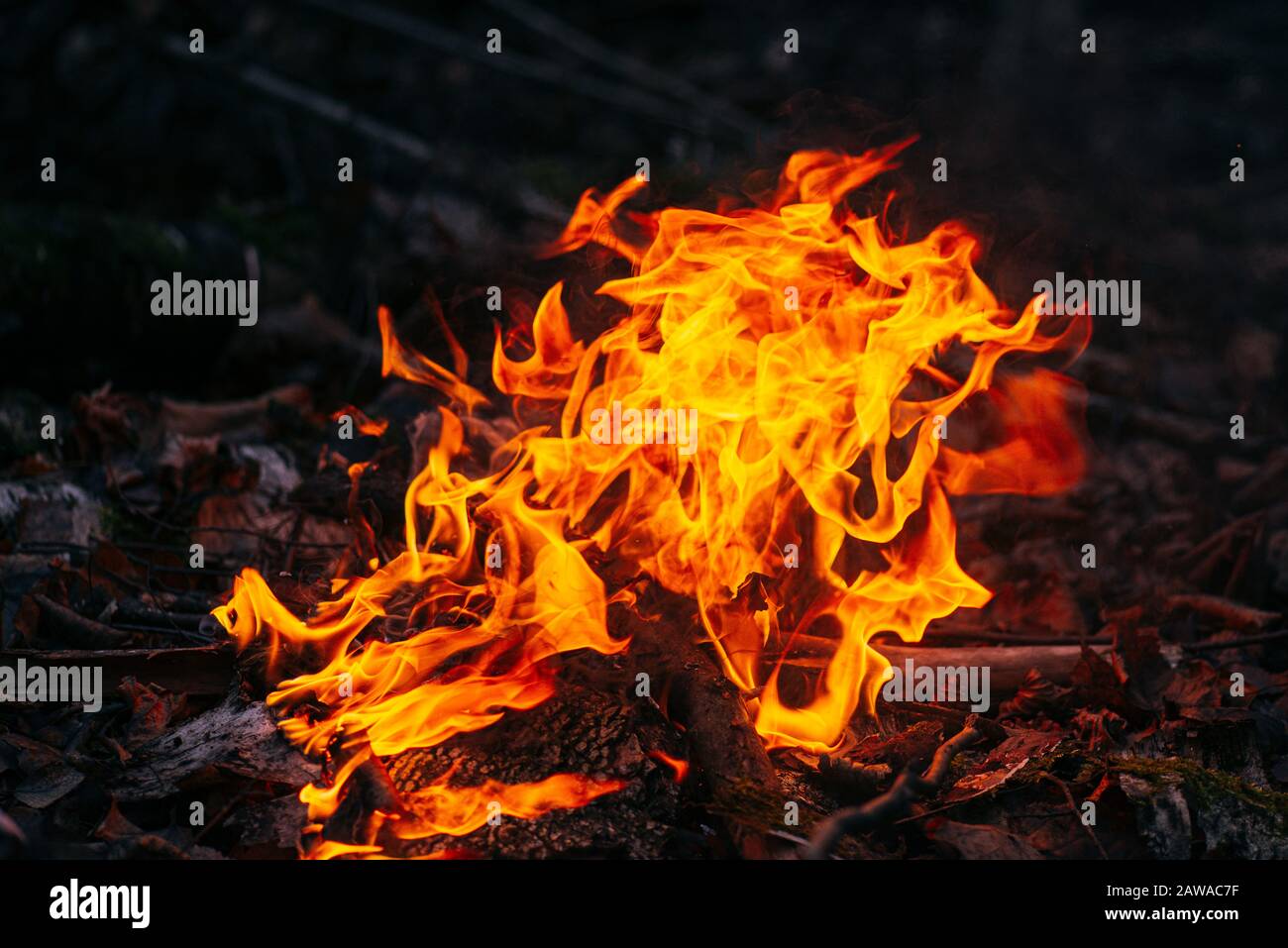 Brennendes Holz am Abend im Wald. Lagerfeuer im touristischen Camp in der Natur. Flamme und Feuer Funken auf dunklen abstrakten Hintergrund. Konzept der Sicherheit und Stockfoto