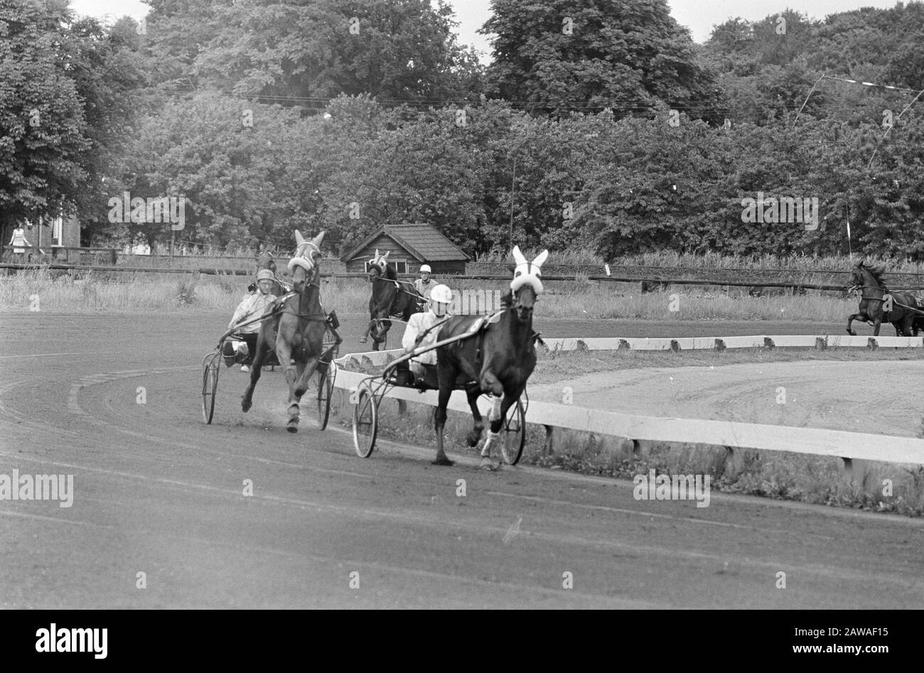 Mereveld, Golden Whip Datum: 19. Juni 1966 Schlagwörter: Pferderennen Stockfoto