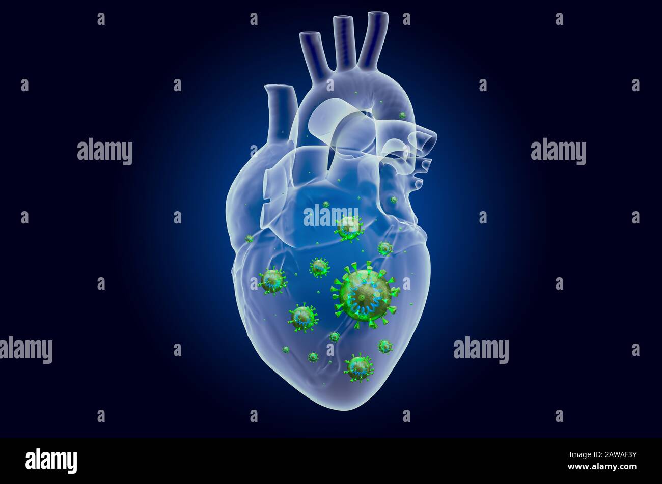 Herz mit Virus, Geisterlichteffekt, Röntgenhologramm. 3D-Rendering auf dunkelblauem Hintergrund Stockfoto