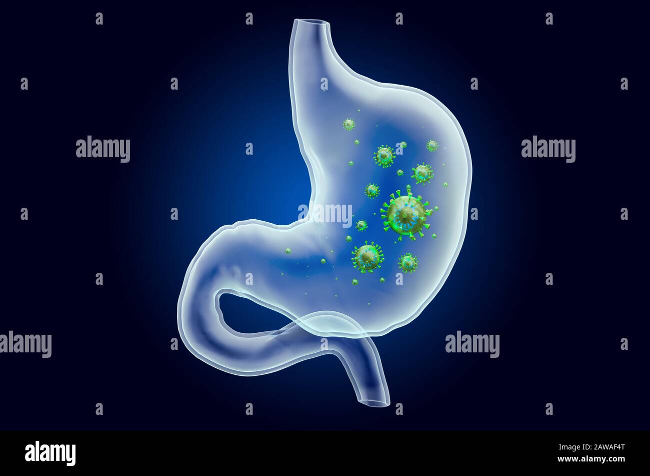 Magen mit Virus, Geisterlichteffekt, Röntgenhologramm. 3D-Rendering auf dunkelblauem Hintergrund Stockfoto