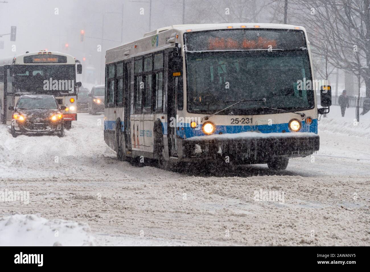 Montreal, CA - 7. Februar 2020. STM Bus fährt während des Schneesturms auf der Sherbrooke Street. Stockfoto