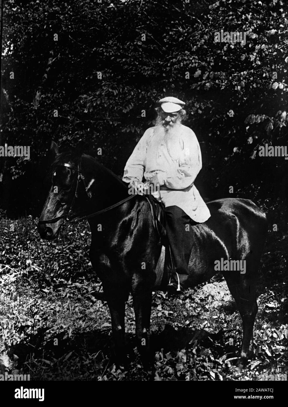 Der berühmte russische Schriftsteller Leo TOLSTOI ( Leone , Lev