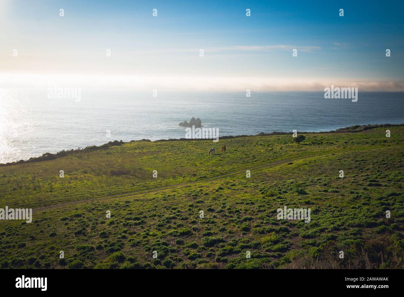 Pacific Valley im Los Padres National Forest. Monterey County, Pacific Coast, Kalifornien Stockfoto