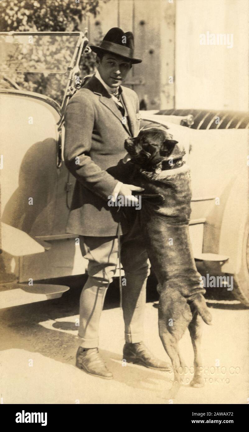 1926 Ca, LOS ANGELES, USA: Der italienische Stummfilmschauspieler RUDOLPH VALENTINO (* um die Zeit von 1975 bis 1926) zu Hause mit einem seiner Hunde - RODOLFO VALENTINO - L. Stockfoto