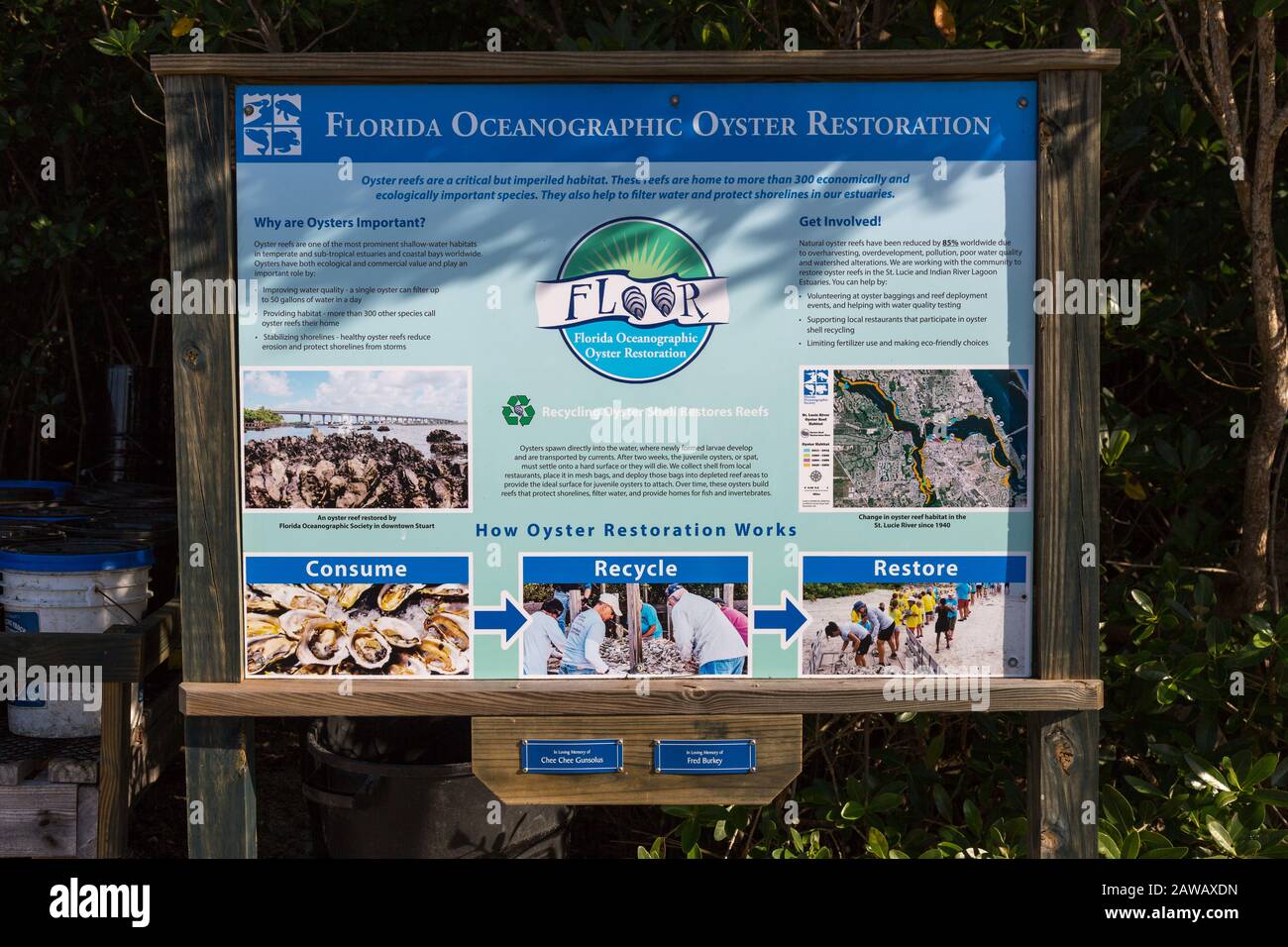 Ein Zeichen, das das Projekt zur Wiederherstellung des Oyster Reef im Florida Oceanographic Coastal Center in Stuart, Florida, USA erklärt. Stockfoto