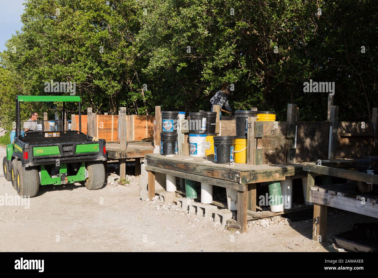 Ein John Deere Gator Utility Vehicle wird neben dem Oyster Reef Reef Restoration am Florida Oceanographic Coastal Center in Stuart, Florida, geparkt. Stockfoto