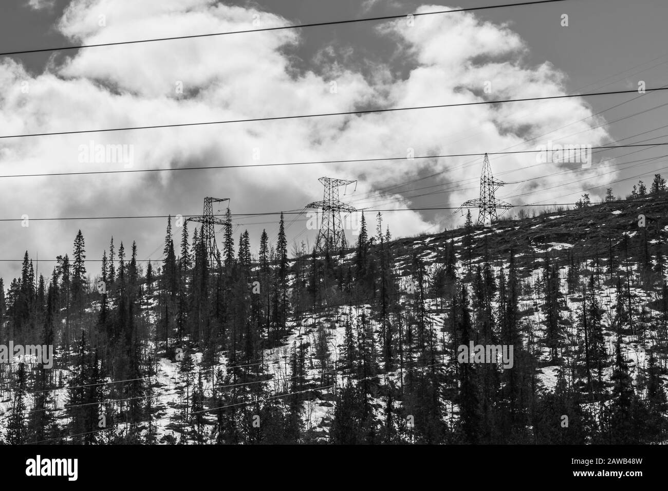 Hintergrund der Berglandschaft: Verschneite Hügel und Wald. Industrielle Stromleitungen in den Bergen Stockfoto