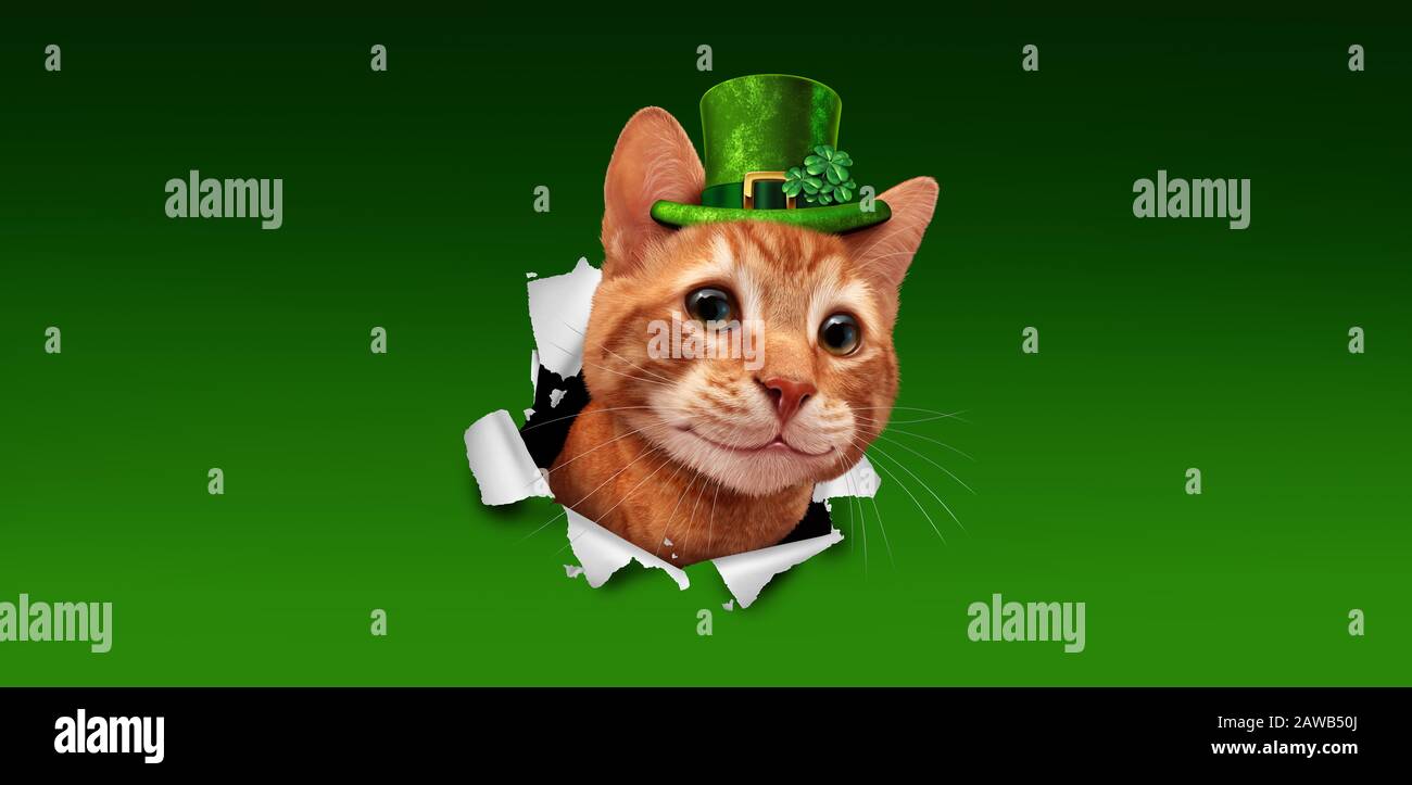 Saint Patricks Day Irish Holiday Cat trägt einen grünen Leprechagehut mit einem aus Papier platzenden Shamrock-Kleeblatt mit 3D-Illustrationselementen. Stockfoto