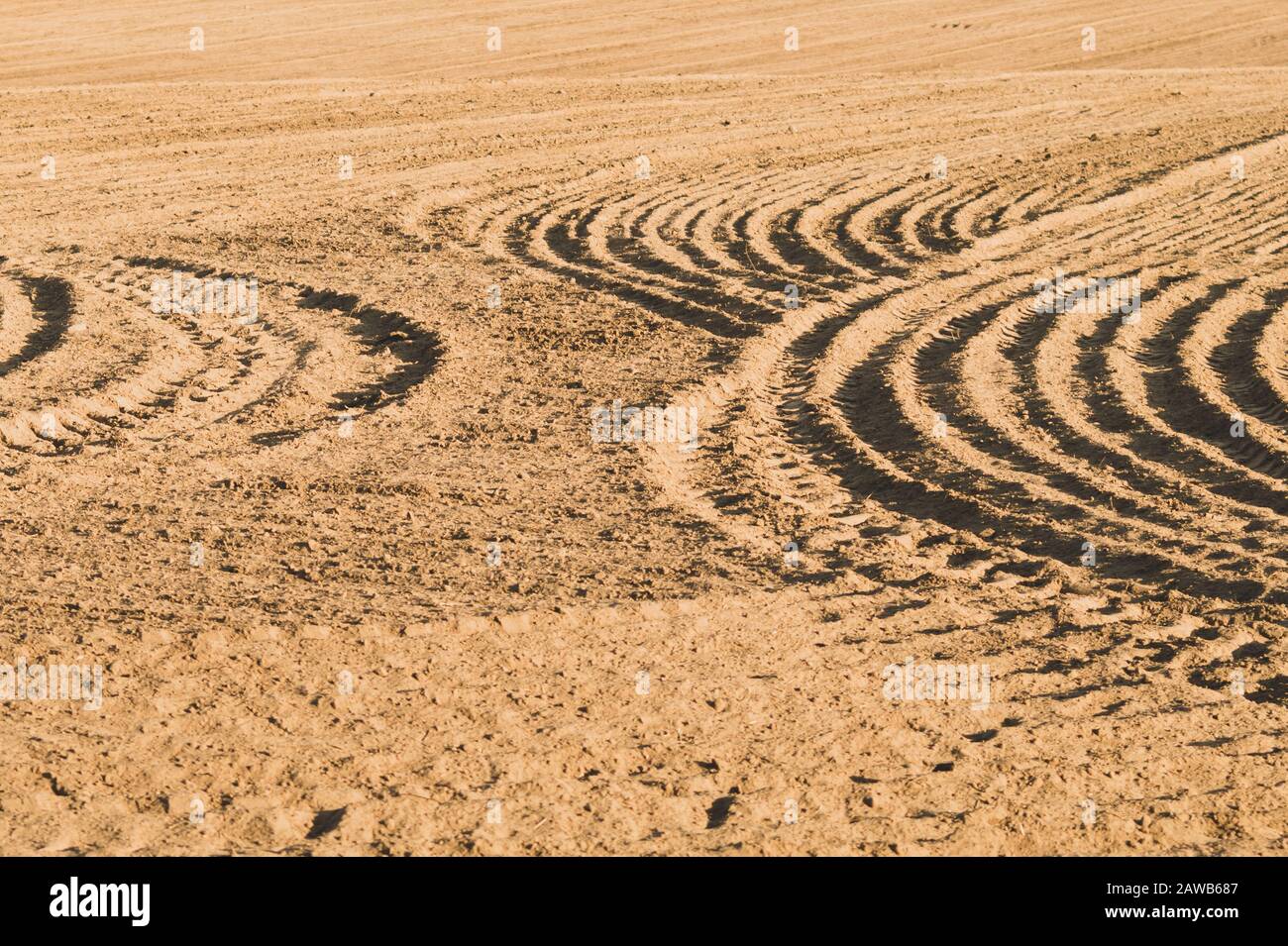 Muster von gebogenen Graten und Furchen auf einem sandigen Feld. Spuren auf dem Sand. Traktorbahnen Stockfoto