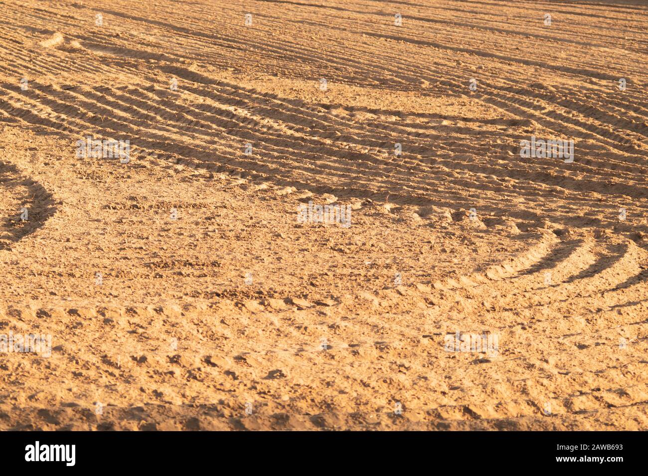 Muster von gebogenen Graten und Furchen auf einem sandigen Feld. Spuren auf dem Sand. Traktorbahnen Stockfoto