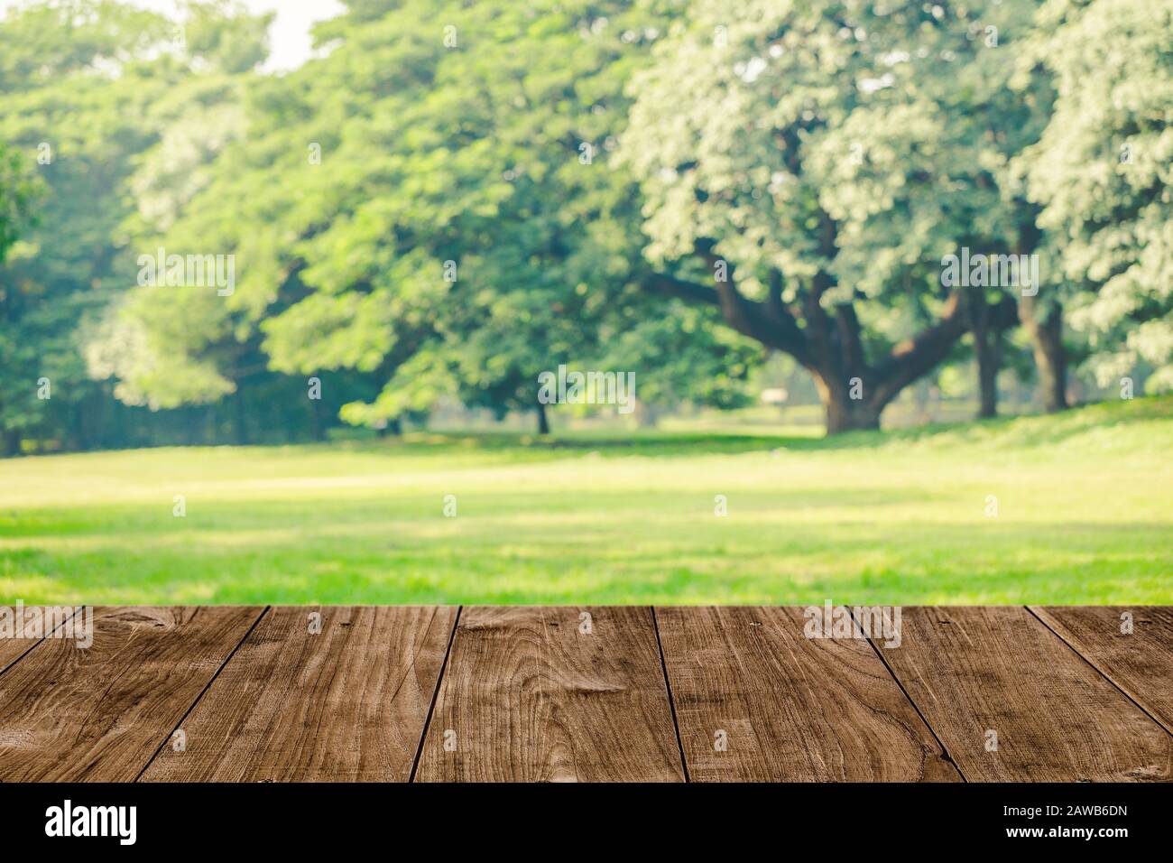 Holztisch mit schönem Grünpark-Rasenfeld mit großer Grünbaum-Landschaftsansicht für Naturprodukte Werbehintergrund Stockfoto