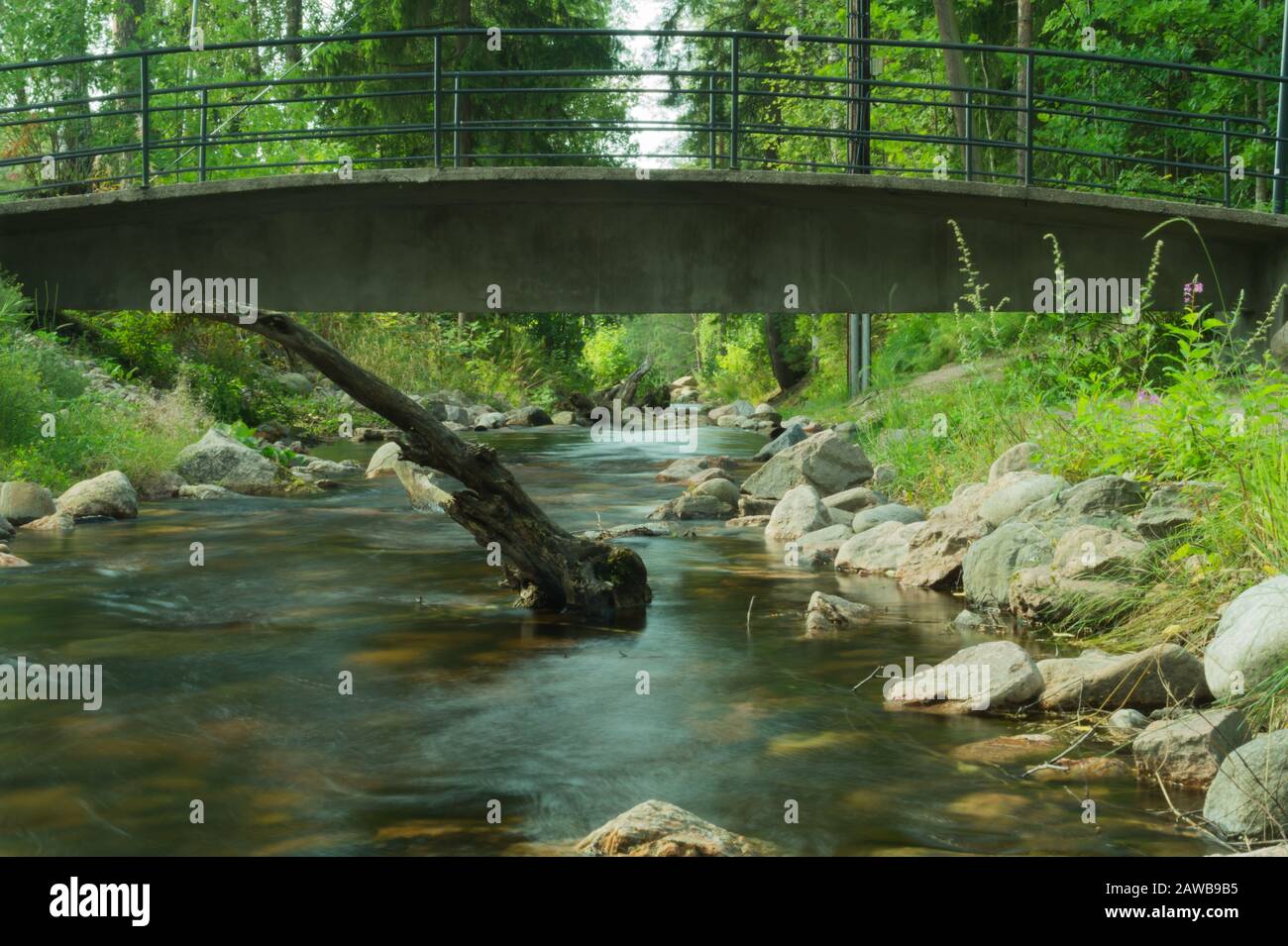 Felsiger Bach im Wald. Fluss mit Felsen. Dichter bewachsener Wald mit fließenden Bach unter einem kleinen Brückengrund Stockfoto