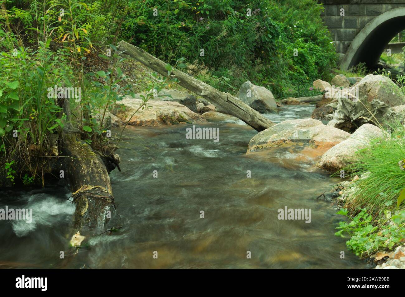 Felsiger Bach im Wald. Fluss mit Felsen. Dichter bewachsener Wald mit fließendem Bach Naturhintergrund Stockfoto