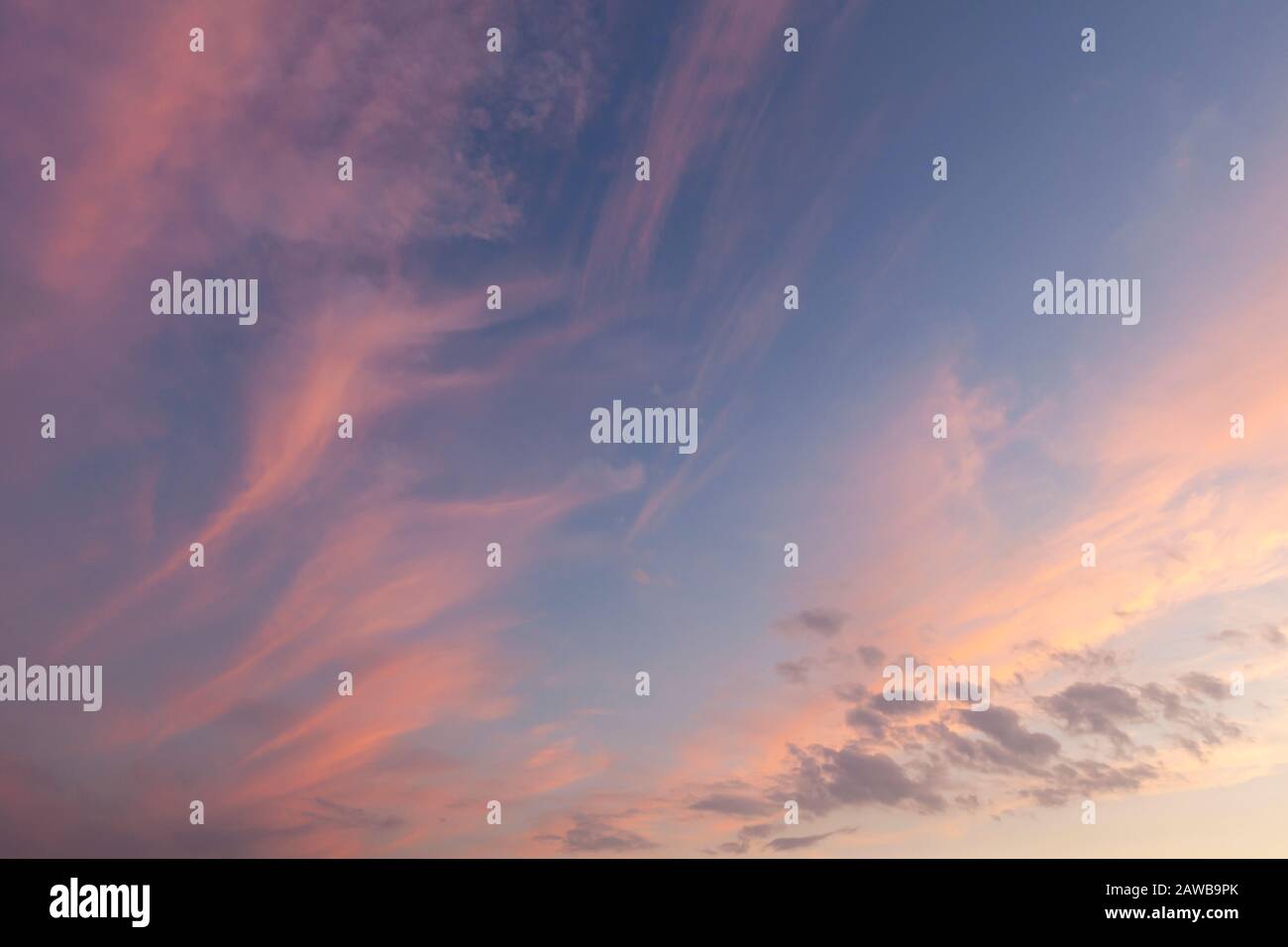 Atemberaubender rosafarbener Himmel bei Sonnenuntergang und gewellte Wolken auf blauem Himmel. Stockfoto