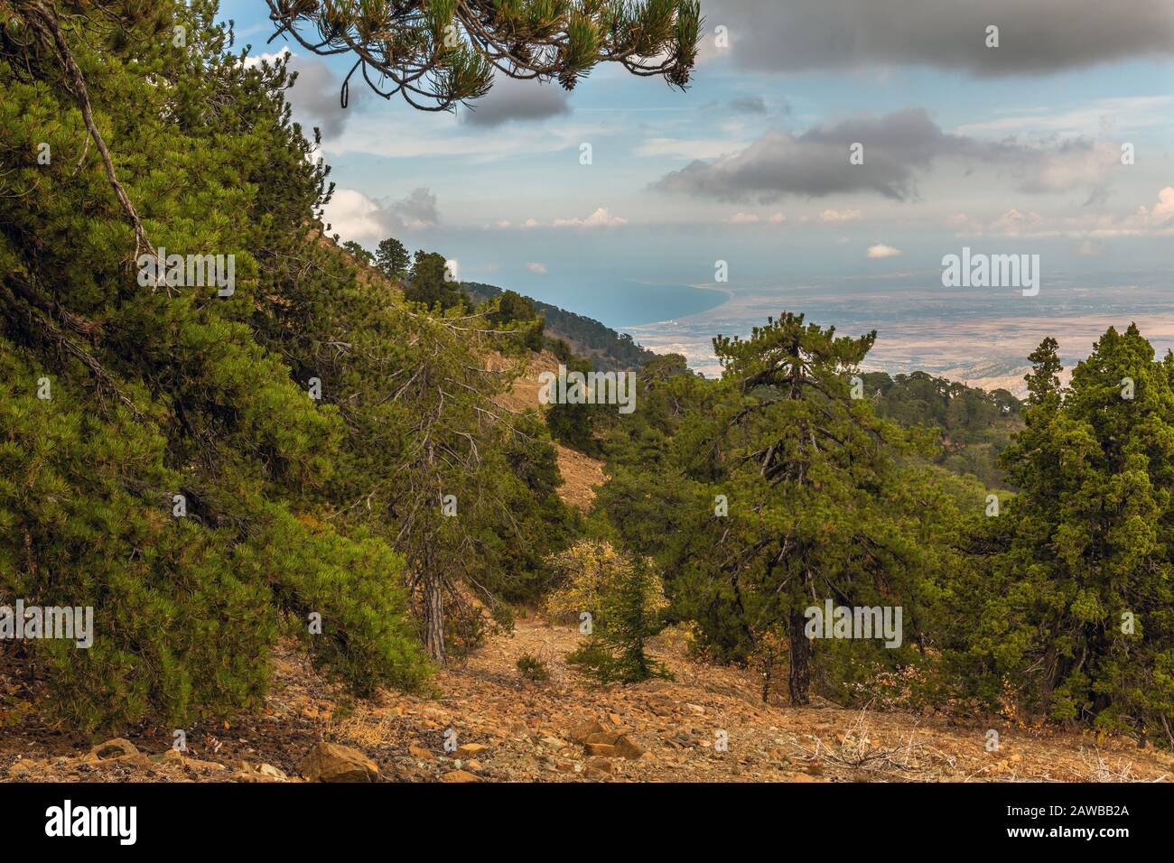 Blick vom Olymp, dem höchsten Gipfel der Insel Zypern. Stockfoto