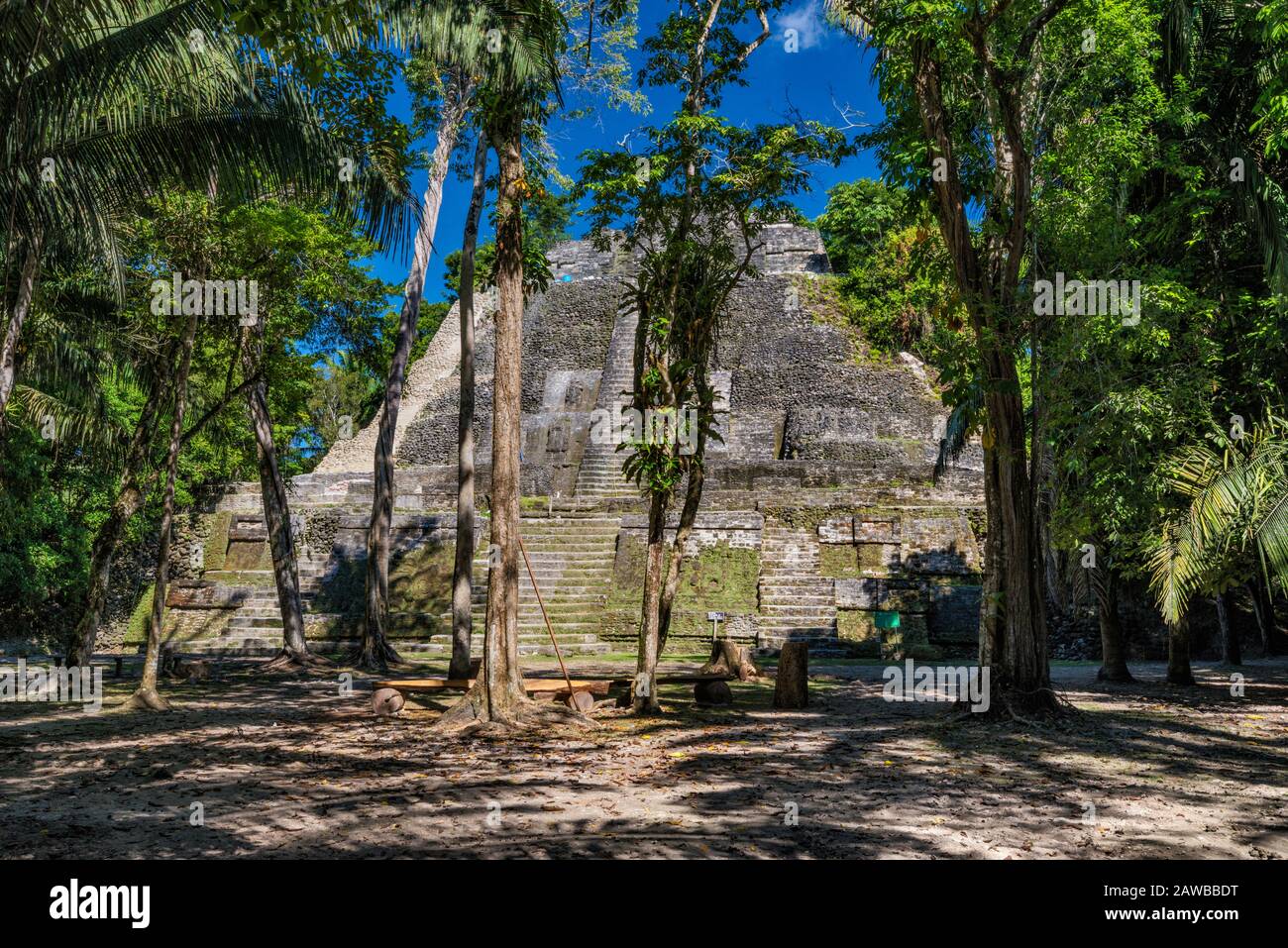 High Temple bei Lamanai, Maya Ruins, Regenwald in der Nähe des indischen Kirchdorfs, Orange Walk District, Belize Stockfoto