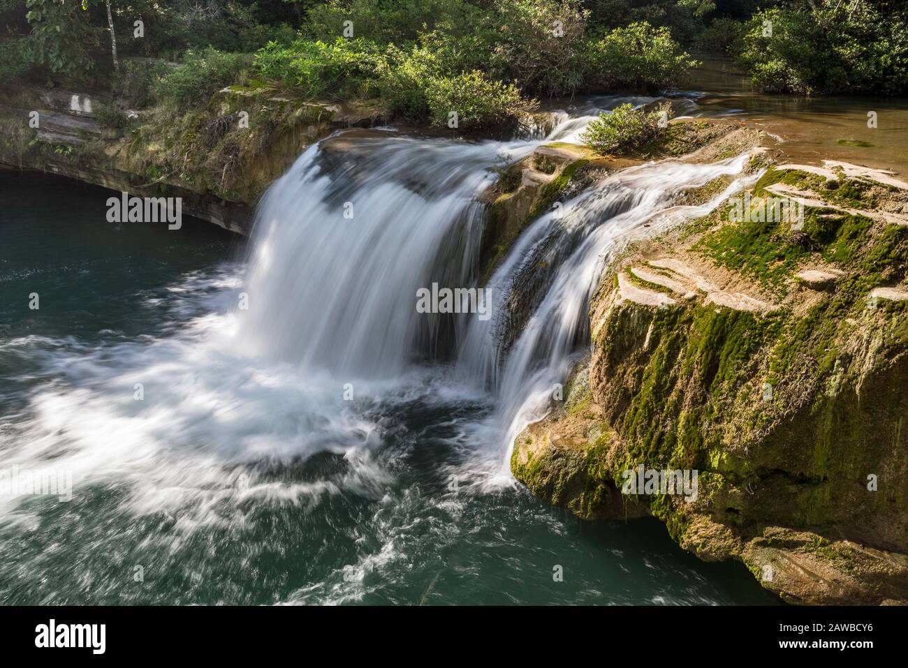 Rio Blanco Falls, Rio Blanco National Park, Maya Mountains, Toledo District, Belize Stockfoto