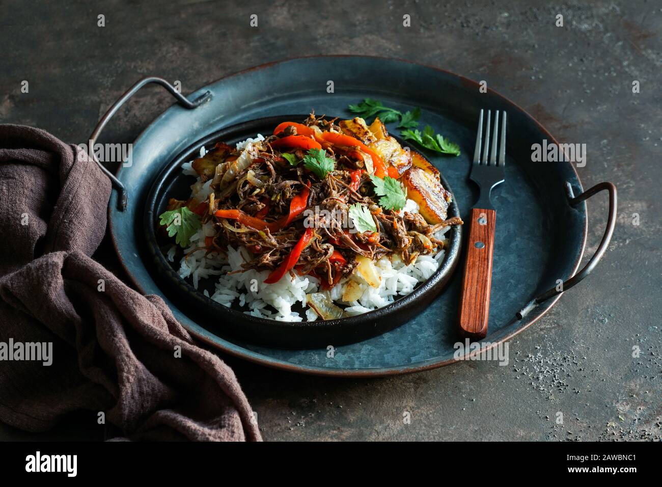 lateinamerikanische Küche. Ropa Vieja mit gebratenen Kochbananen und Reis. Carne desmechada, Carne desmenuzada, Carne mechada Zikelkost von Chile, Kolumbien, Cos Stockfoto