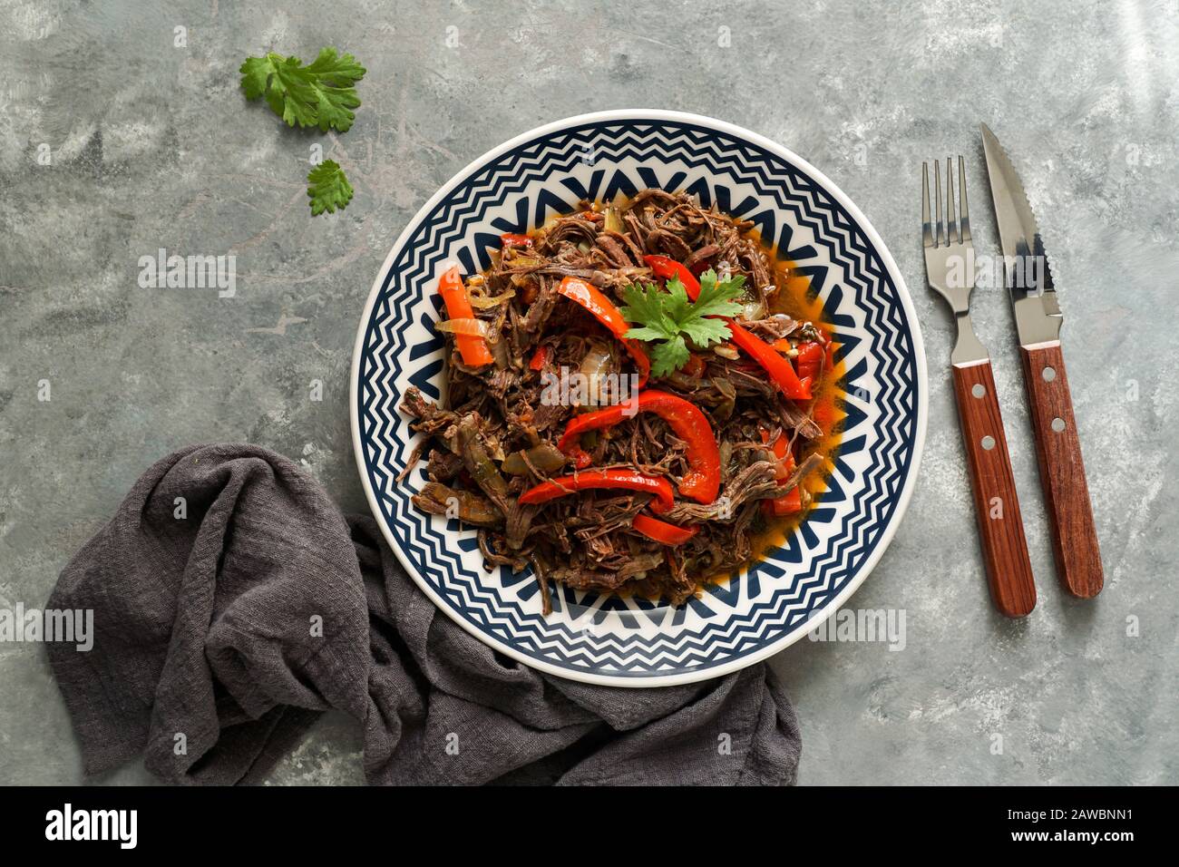 lateinamerikanische Küche. Ropa Vieja mit gebratenen Kochbananen und Reis. Carne desmechada, Carne desmenuzada, Carne mechada Zikelkost von Chile, Kolumbien, Cos Stockfoto