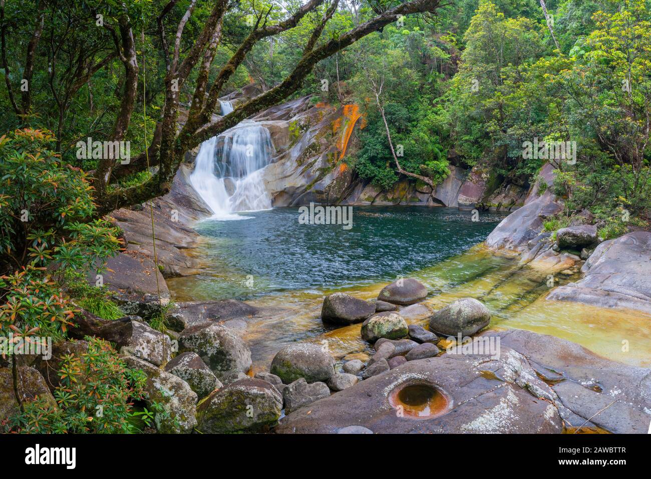 Josephinische Wasserfälle, Wooroonooran-Nationalpark, Nord-Queensland, Australien Stockfoto