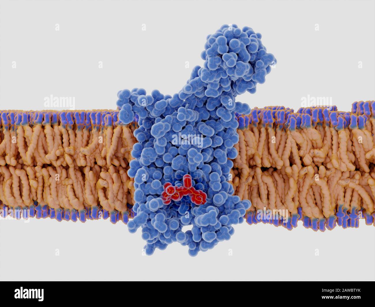 HIV-Medikamentenbindung an den CCR5-Co-Rezeptor, Abbildung Stockfoto
