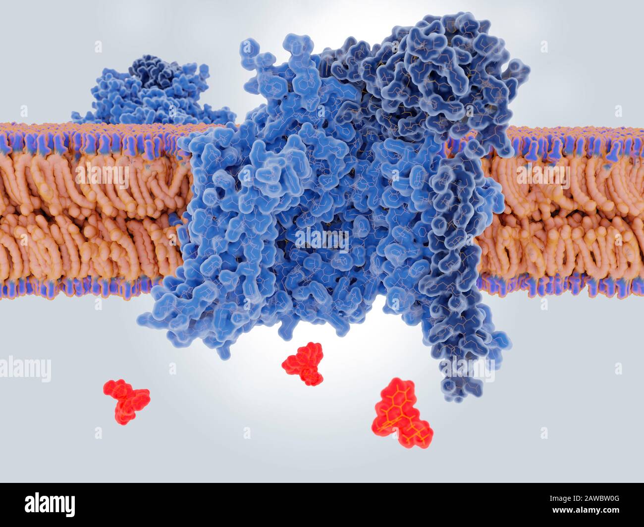Amitriptylin-Medikament blockiert einen Natriumkanal, Abbildung Stockfoto