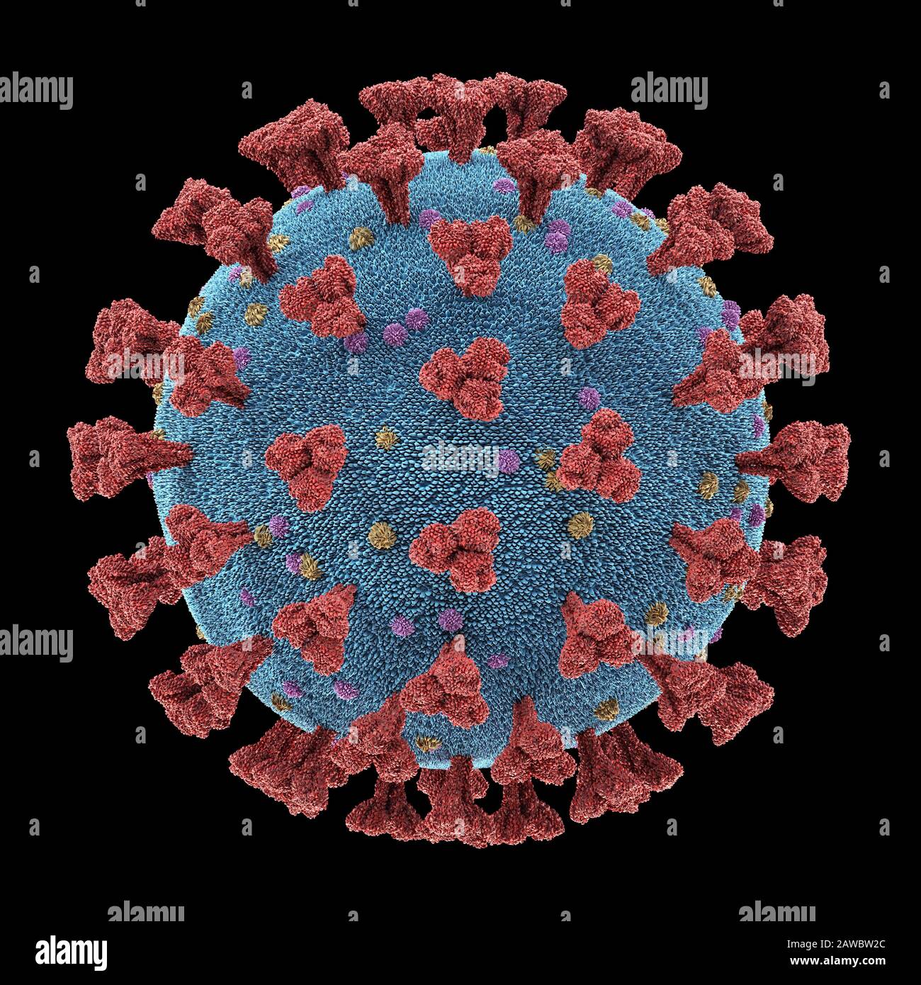 Coronavirus-Partikel, Abbildung Stockfoto