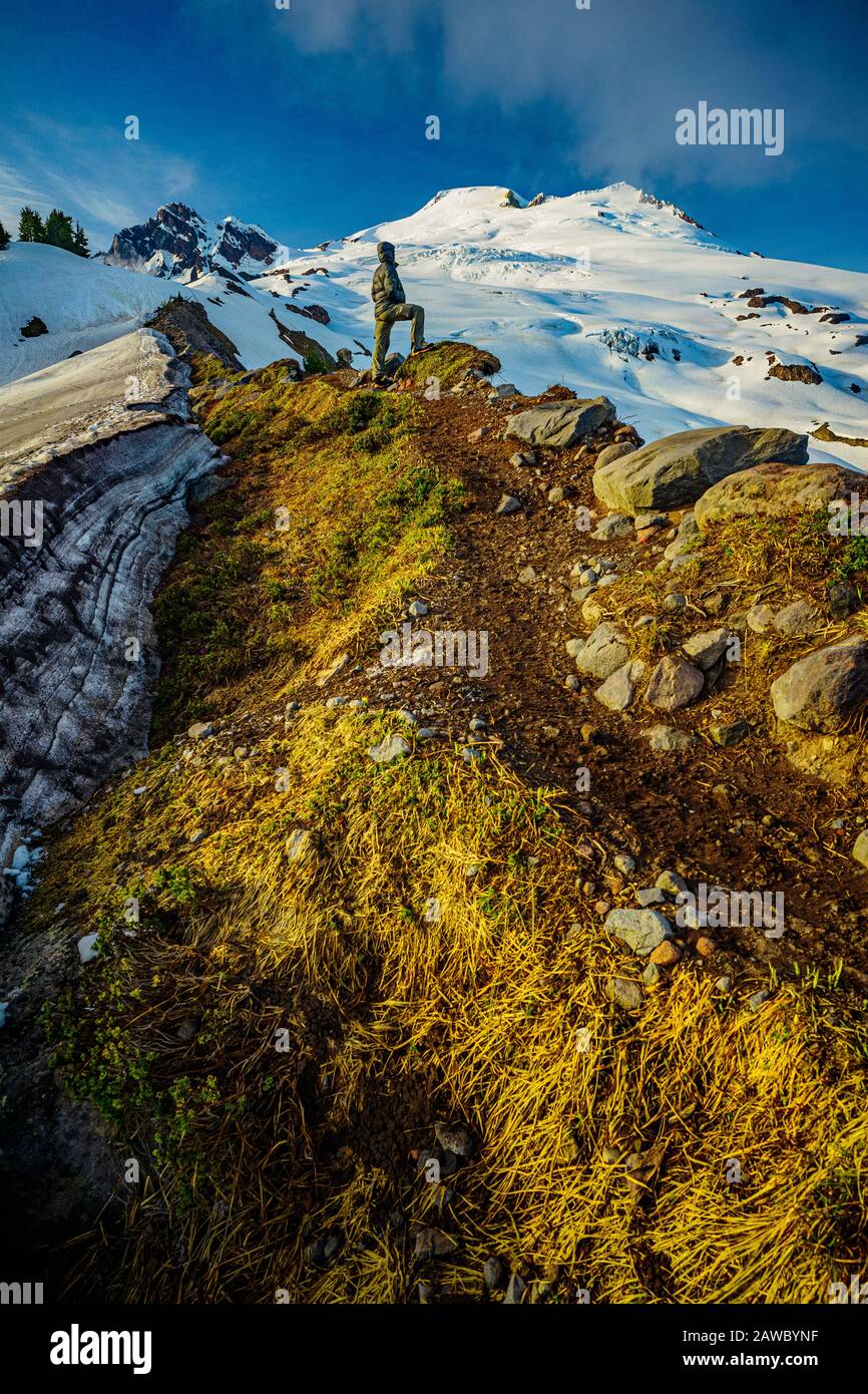 Ein Bergsteiger kann die Route für die nächsten Tage ausweiten und steigt am Mt. Baker, WA Stockfoto