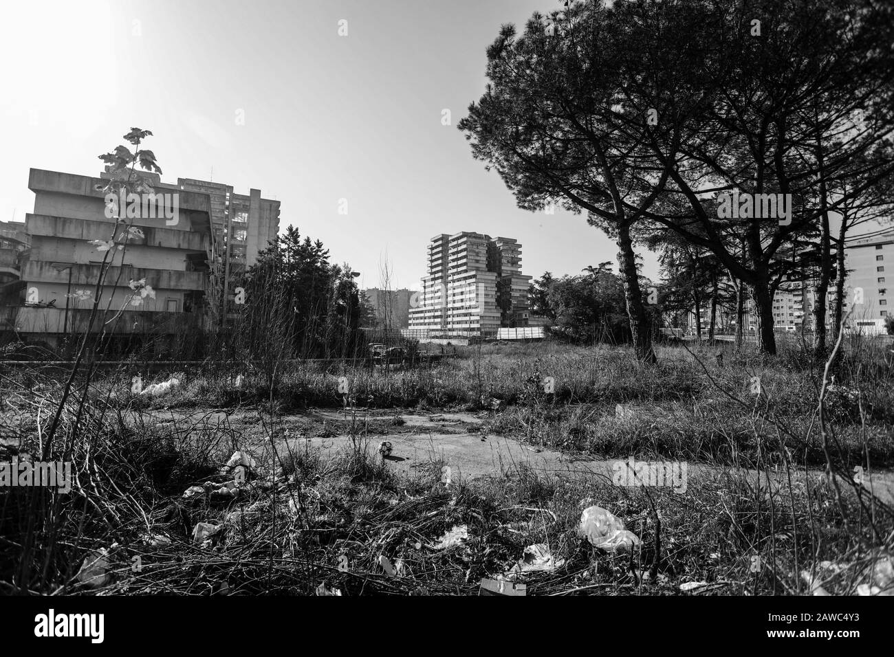 Neapel, KAMPANIEN, ITALIEN. Februar 2020. 03/08/2020 Neapel, Die Nordliga traf sich heute Morgen im nördlichen Teil Neapels in Scampia auf dem zentralen Platz. Die Regionalsekretärin Nicola auf. Molteni, auf Gianluca Cantalamessa, und Pina Castiello.Im Bild: Credit: Fabio Sasso/ZUMA Wire/Alamy Live News Stockfoto