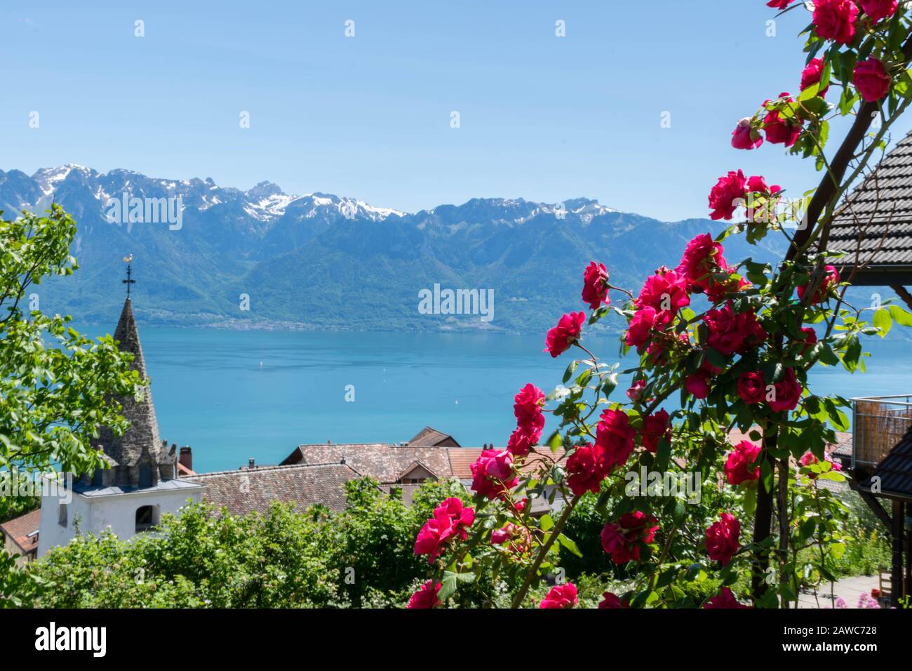 Romantischer Blick auf den Genfer See im Sommer Stockfoto